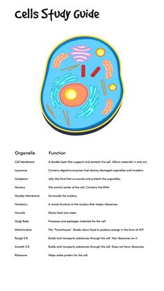 the cell study guide is shown in this graphic style, and contains information on how to use