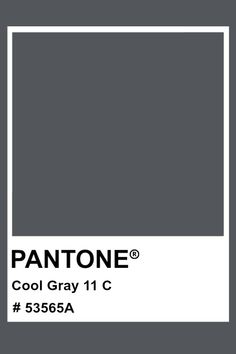 PANTONE Cool Gray 11 C #pantone #color #PMS #hex Colour Schemes, Color Collection, Color Pallets