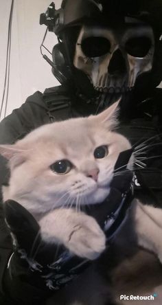 a white cat sitting on top of a black leather jacket next to a human skull