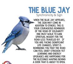 a blue jay sitting on top of a tree branch next to a poem written in english