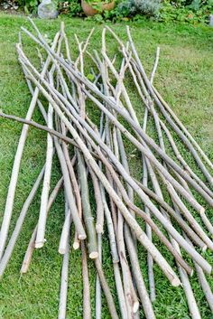 a bunch of sticks that are laying on the grass