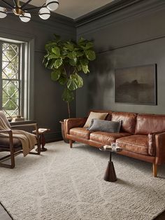 a living room filled with furniture and a potted plant