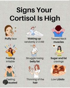 How To Lower High Cortisol, Cortisol Lowering Diet, Cortisol Reduction Exercises, Lose Cortisol Belly, Cortisol Lowering Foods, How To Reduce Cortisol, Signs Of High Cortisol, High Cortisol Diet Plan, Low Cortisol Diet