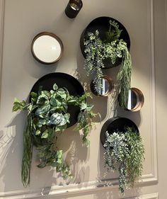 three black plates with plants on them hanging from the wall next to candles and dishes