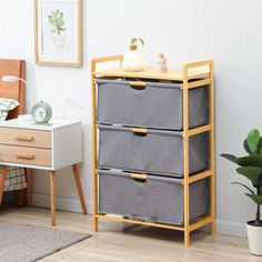 a room with two drawers and a plant on the floor next to it, in front of a white wall