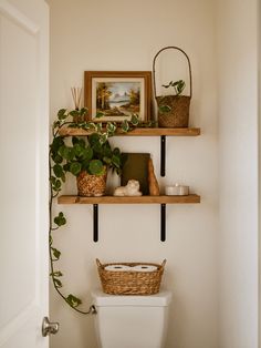 a toilet with two shelves above it and some plants on the top shelf in front of it