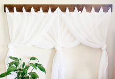 a potted plant sitting on top of a wooden table next to a white curtain