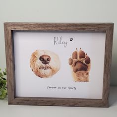 If you are visiting I am sorry for your loss and would be honored to create a keepsake for you to cherish for your beloved pet.  8x10 frame  -personalized with name -digital portrait of your pet's paw and nose, from photo you provide. Dog Sympathy Gifts, Loss Of Pet, Dog Sympathy, Sorry For Your Loss, Dog Memorial Gift, Print Portrait, 8x10 Frame, Cat Memorial, Pet Paws