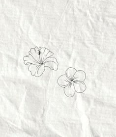 two flowers are drawn on white paper