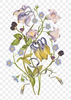 an illustration of flowers with blue and yellow petals