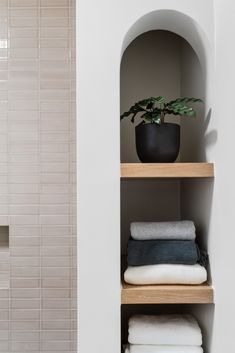 a bathroom shelf with towels and a potted plant