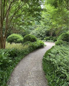 a path in the middle of a lush green park