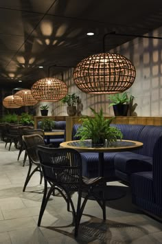 an empty restaurant with blue chairs and plants on the tables, hanging lights above them