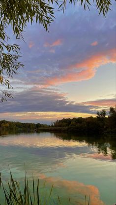 the sky is reflected in the calm water at sunset, with trees and grass on either side