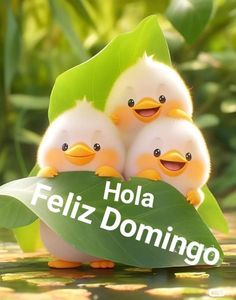 three little ducks sitting on top of a leaf with the words hola feliz domingo