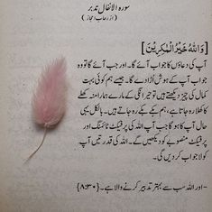 a piece of paper with arabic writing and a pink feather