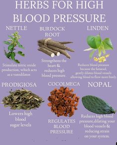 Herbs For High Blood Pressure, Witch's Apothecary, Benefits Of Herbs, Medicinal Herbs Remedies, Herbal Education, Cosmic Connection, Herbal Remedies Recipes, Medicinal Herbs Garden, Medical Herbs