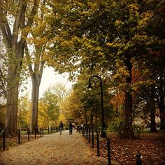 people are walking down a path in the park on an overcast day with fall leaves