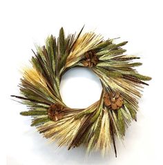 a close up of a wreath made out of grass and pineconis on a white background