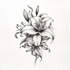 a black and white drawing of a flower