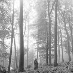 black and white photograph of two people walking through the woods on a foggy day