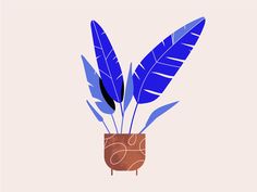 a potted plant with blue leaves in it