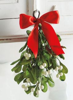 a red bow hanging from the side of a door with mist and berries on it