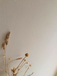 a vase filled with dried flowers sitting on top of a wooden table next to a white wall