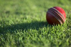 a red cricket ball sitting in the grass