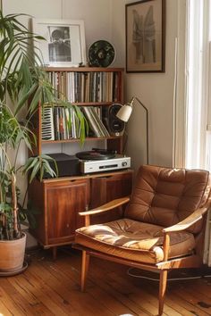 a living room filled with furniture and a potted plant on top of a hard wood floor