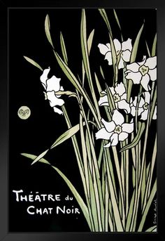 the theatre de chat noire is shown with white flowers and green stems in front of a black background