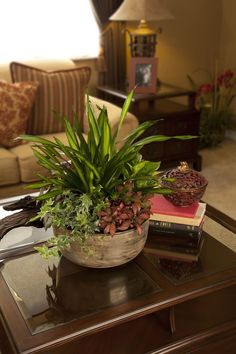 a potted plant sitting on top of a coffee table next to a book and lamp