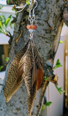 a bird's feather hanging from a tree branch