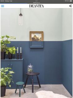 the instagram page on instagram shows an image of a room with blue walls and potted plants