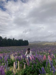 girl standing in a field of purple and pink lupin flowers - Lake Tekapo New Zealand Lake Tekapo New Zealand, Tekapo New Zealand, Travel New Zealand, Couple Selfies, Fall 24, Beautiful Views, Camera Roll