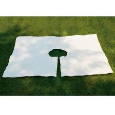 a piece of white paper sitting on top of a green grass covered field with a tree