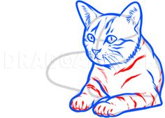 a drawing of a cat with blue and red stripes on it's chest, sitting down