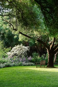 a wooden bench sitting in the middle of a lush green park filled with trees and flowers