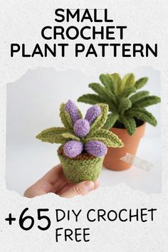 small crochet plant pattern with the text, 65 diy crochet free patterns