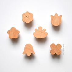 six wooden buttons in the shape of flowers and leaves on a white background with space for text