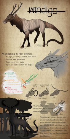 an info sheet with different types of animals