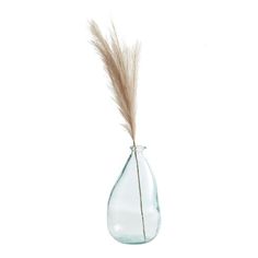 a glass vase with a feather sticking out of it's side, on a white background