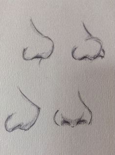 four different angles of the nose drawn in graphite on white paper with black ink