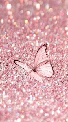 a white butterfly sitting on top of a pink glitter covered ground