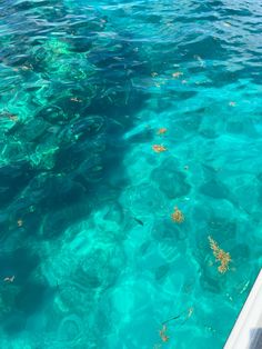 the water is very clear and blue with little fish swimming around in it's wake