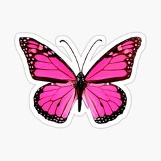 a pink butterfly with black spots on its wings