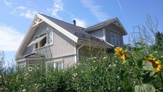 a house with sunflowers in the foreground and blue sky behind it on a sunny day