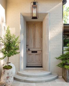 an entry way with steps leading up to the door and potted plants on either side