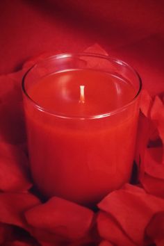 a red candle sitting on top of a bed of petals