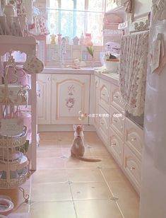 a cat sitting on the floor in a kitchen